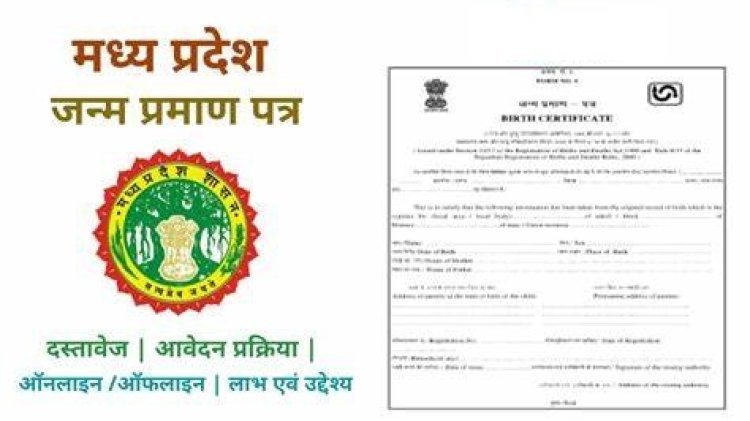 जन्म प्रमाणपत्र ऑनलाइन कसे बनवाए पूरी प्रक्रिया मात्रा एक लेख में जाने